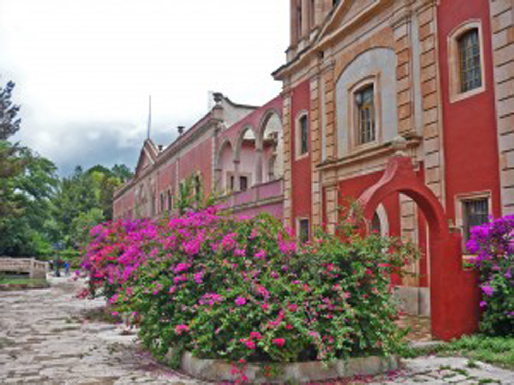 Paisaje Idílico
