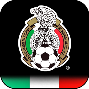 ICONO-SELECCION