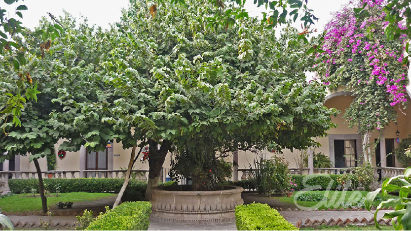 Exhacienda Jesus Maria